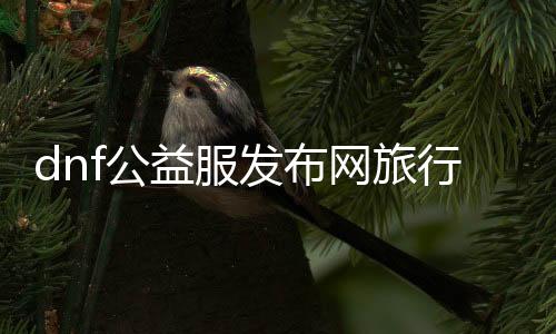 dnf公益服发布网旅行者套装（打造最强旅行者套装攻略）