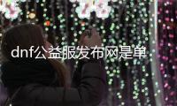 dnf公益服发布网是单机吗（dnf公益服发布网服务器在哪买）