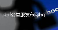 dnf公益服发布网bq怎么玩,如何选择适合自己的dnf公益服发布网